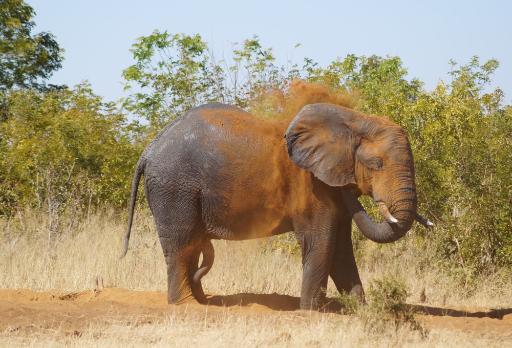 Entlang des Hwange Nationalparks nach Thompson's Junction